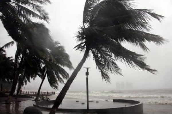 AI models by Google, Nvidia can predict path, intensity of major storms: Study AI models by Google, Nvidia can predict path, intensity of major storms: Study
