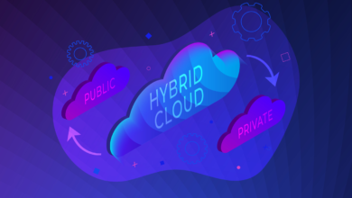 What Is Hybrid Cloud Security? How it Works & Best Practices