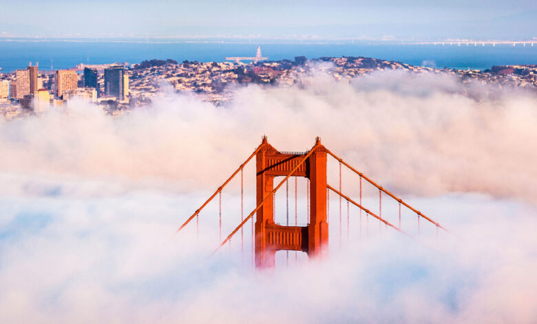 Cutting costs in the cloud: six strategies for SaaS companies | EY Cutting costs in the cloud: six strategies for SaaS companies | EY