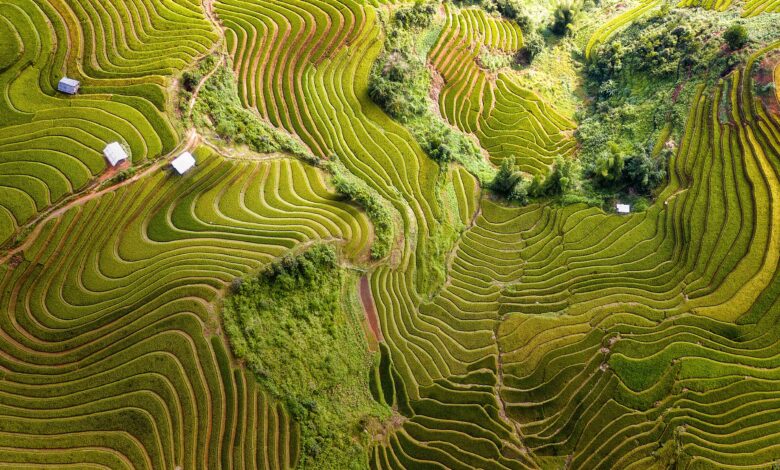 How a global FinTech captured growth in the SME segment | EY How a global FinTech captured growth in the SME segment | EY