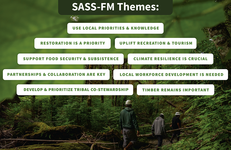 SASS forest management themes