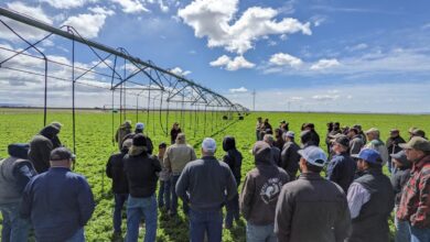 Rural Oregon Nonprofit Focuses on Sustainable Natural Resource Management