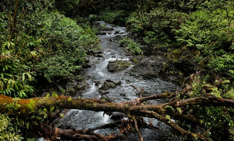 NCEL Webinar: Advancing a One Water Future – State Options for Sustainable Water Resource Management NCEL Webinar: Advancing a One Water Future – State Options for Sustainable Water Resource Management