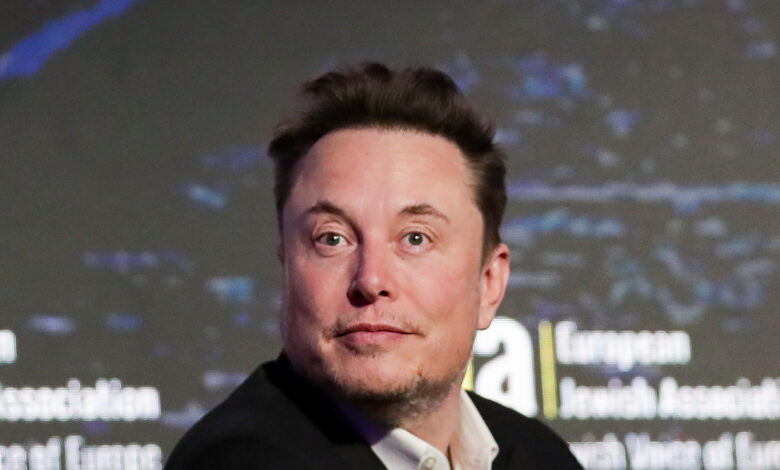 Tesla’s cheaper-priced ,000 new electric vehicle is scrapped days after Elon Musk slammed ‘lying’ reports Tesla’s cheaper-priced ,000 new electric vehicle is scrapped days after Elon Musk slammed ‘lying’ reports