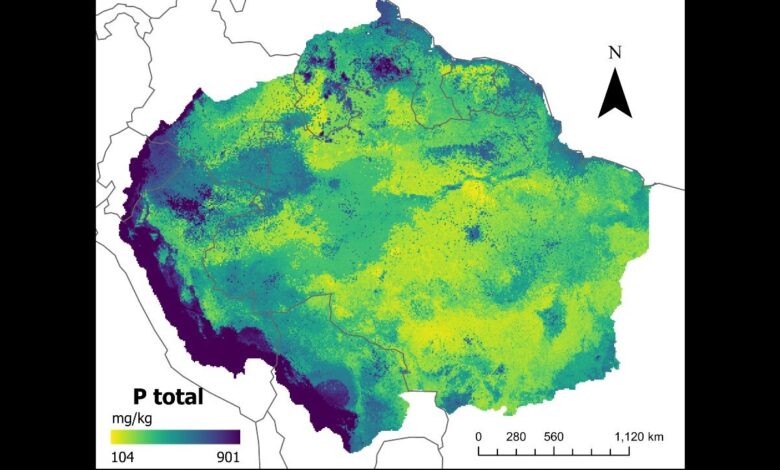 Maps developed with artificial intelligence confirm low levels of phosphorus in Amazonian soil Maps developed with artificial intelligence confirm low levels of phosphorus in Amazonian soil