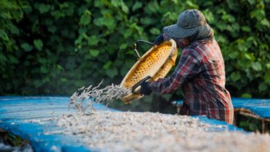 New toolkit helps development practitioners integrate gender into sustainable coastal resource management in Asia