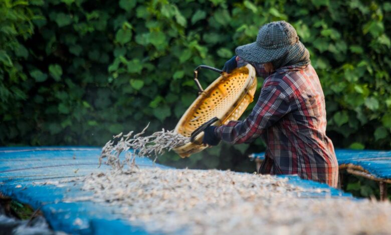 New toolkit helps development practitioners integrate gender into sustainable coastal resource management in Asia New toolkit helps development practitioners integrate gender into sustainable coastal resource management in Asia