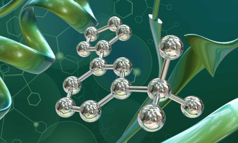A generative AI develops drug molecules based on the 3D surface of proteins A generative AI develops drug molecules based on the 3D surface of proteins