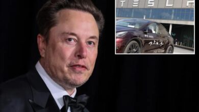 Tesla stock soars after Elon Musk promises affordable EV