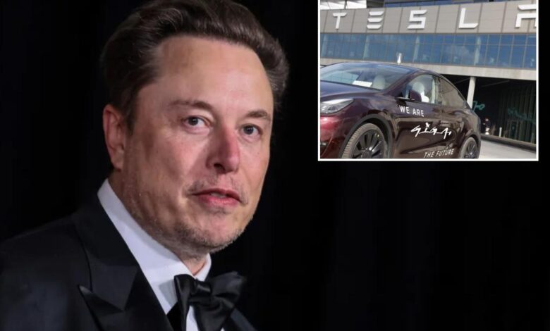Tesla stock soars after Elon Musk promises affordable EV Tesla stock soars after Elon Musk promises affordable EV