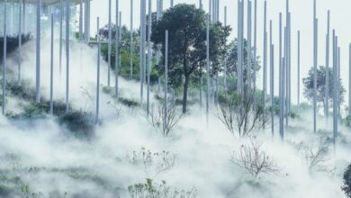 Plat Asia explores “boundarylessness” with Cloud Tea Room in China