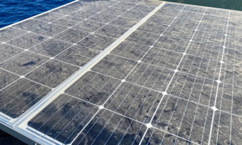 Technology provider announces robotics system to keep solar panels at peak performance — here’s how it works Technology provider announces robotics system to keep solar panels at peak performance — here’s how it works
