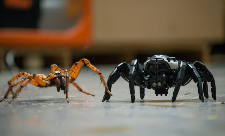 Robots vs. Animals: Who Wins the Race in Natural Settings? Robots vs. Animals: Who Wins the Race in Natural Settings?