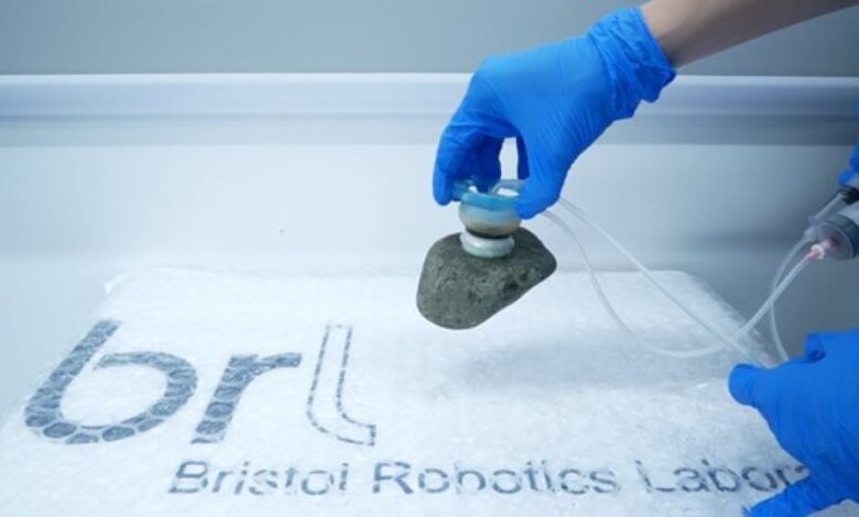 The Engineer – Octopus suckers inspire grip of robotic suction cup The Engineer – Octopus suckers inspire grip of robotic suction cup