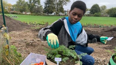 Teen entrepreneur fighting food insecurity surprised by Daymond John with ‘Shark Tank’ invite