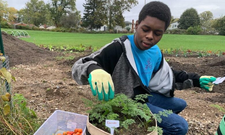 Teen entrepreneur fighting food insecurity surprised by Daymond John with ‘Shark Tank’ invite Teen entrepreneur fighting food insecurity surprised by Daymond John with ‘Shark Tank’ invite