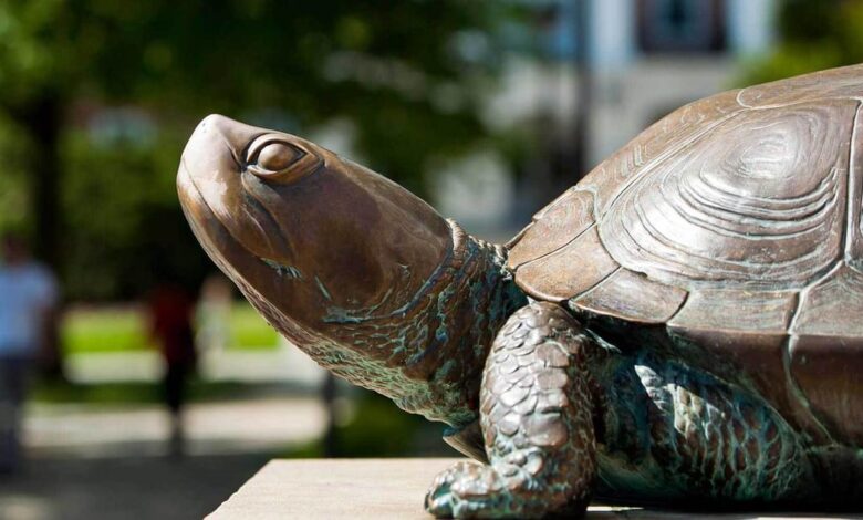 Maryland Today | Smith School Launches Center for Artificial… Maryland Today | Smith School Launches Center for Artificial…