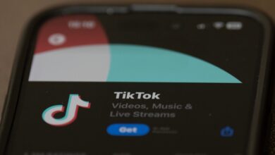 Tiktok ban: Cybersecurity expert weighs-in