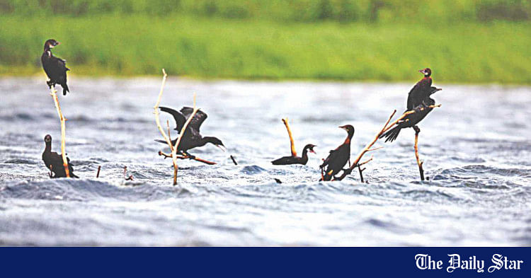 Towards sustainable use of natural resources Towards sustainable use of natural resources