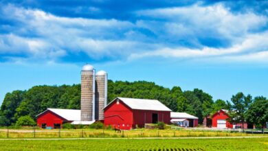 Are We Ready for a Cyber Attack on Food and Farming?