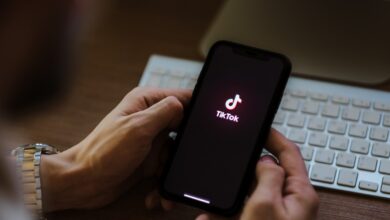 What Would a TikTok Ban Mean?