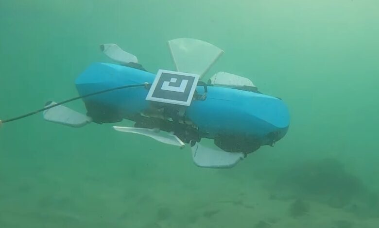 Multi-talented underwater robot uses fins to swim, walk and crawl Multi-talented underwater robot uses fins to swim, walk and crawl