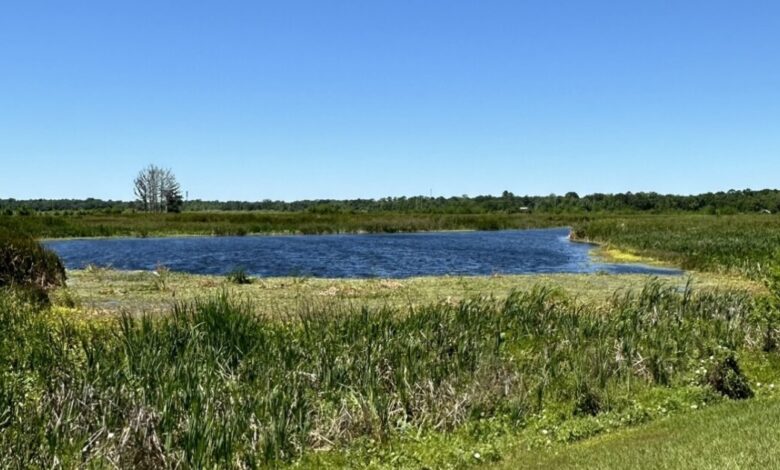 UF researchers develop helpful conservation tool using data analytics UF researchers develop helpful conservation tool using data analytics