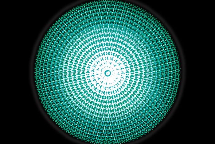 2016 Telecommunications Industry Outlook | Deloitte US 2016 Telecommunications Industry Outlook | Deloitte US