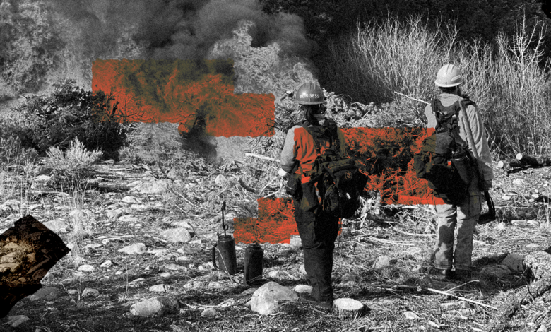 When experts write wildfire policy When experts write wildfire policy
