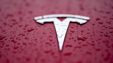 Tesla wants shareholders to reinstate  billion Musk pay package tossed by a Delaware judge