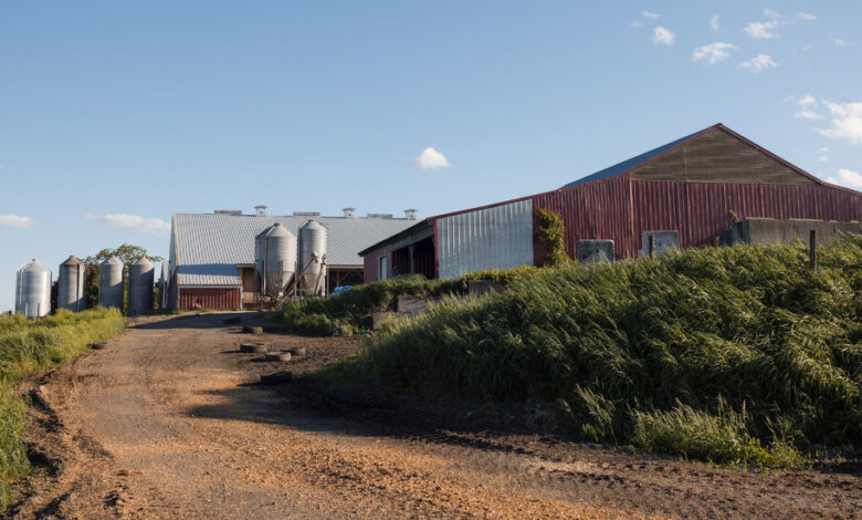 Will Billions More in New Aid Save Family Farms? Will Billions More in New Aid Save Family Farms?