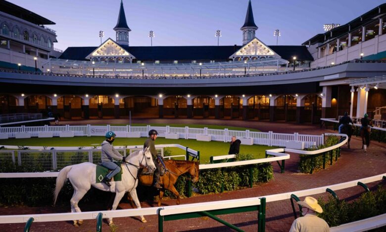 Horse Racing Deaths Raise Questions About Sport’s Future Horse Racing Deaths Raise Questions About Sport’s Future