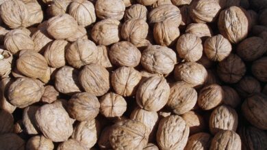 Walnuts Recalled From Natural Food Stores After E. Coli Outbreak