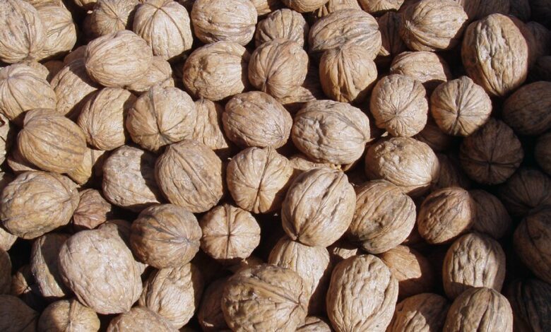 Walnuts Recalled From Natural Food Stores After E. Coli Outbreak Walnuts Recalled From Natural Food Stores After E. Coli Outbreak
