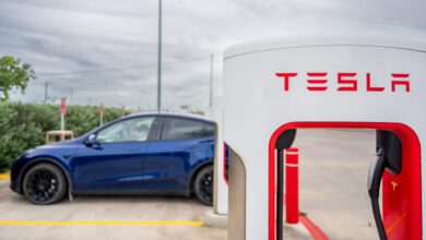 Tesla to face a ‘huge demand problem’ over price cuts, says investor