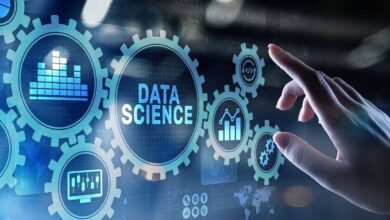 Bachelor of data science graduates in job market