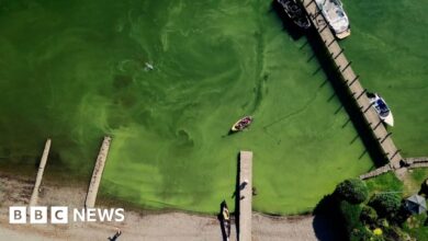 Tourist influx turns Lake Windermere green, researchers say