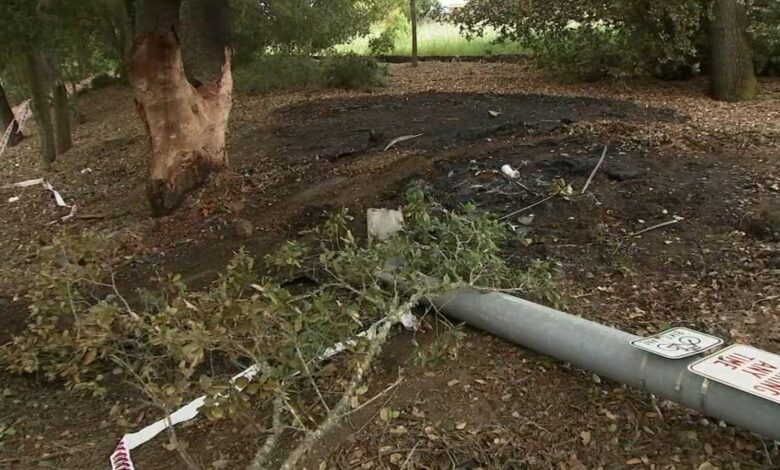 The VinFast EV being driven by the Pleasanton family had steering problem before the deadly crash, according to a complaint filed to the NHTSA. The VinFast EV being driven by the Pleasanton family had steering problem before the deadly crash, according to a complaint filed to the NHTSA.