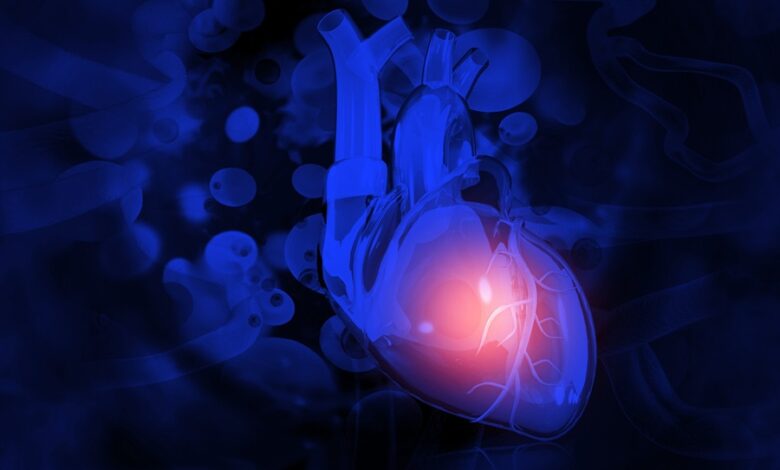 Daily clinical news – Artificial Intelligence Broadens Diagnostic Abilities of Conventional Coronary Angiography – Surgical Techniques Daily clinical news – Artificial Intelligence Broadens Diagnostic Abilities of Conventional Coronary Angiography – Surgical Techniques