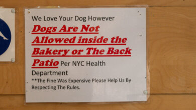 Can Dogs Go Into NYC Restaurants?