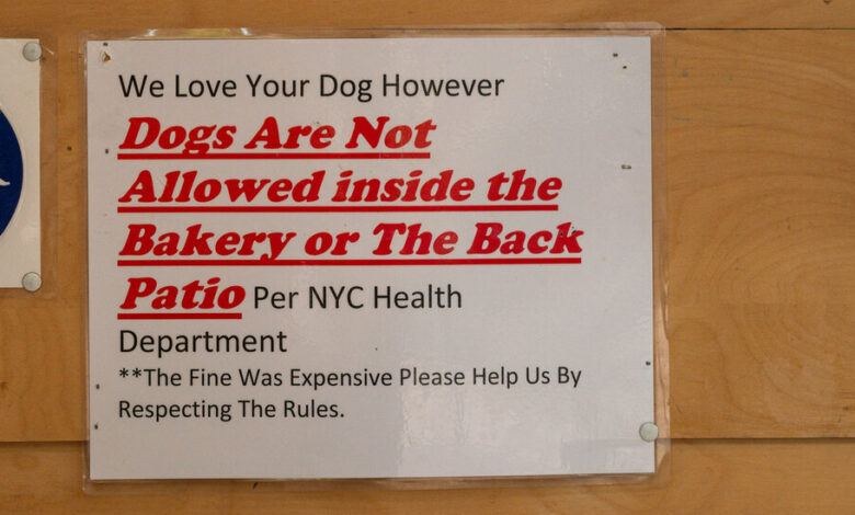Can Dogs Go Into NYC Restaurants? Can Dogs Go Into NYC Restaurants?
