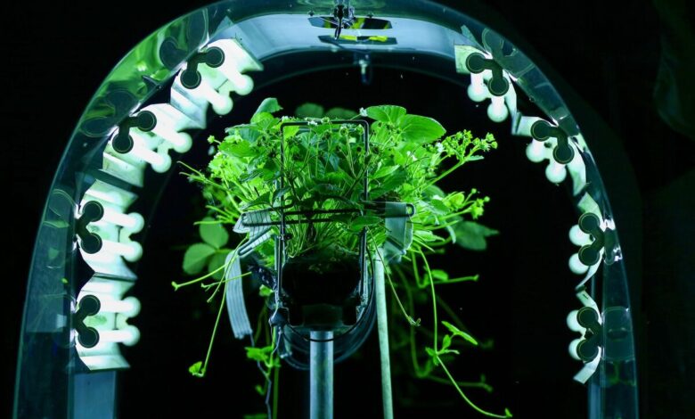 Global Food Roundup: More AI and Robots in Agriculture Supply Chain Global Food Roundup: More AI and Robots in Agriculture Supply Chain
