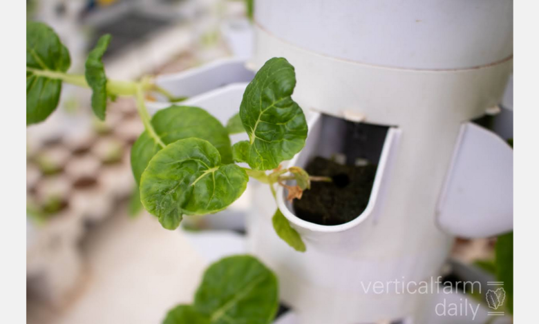 Autonomous mobile robots to make greenhouse farming more accessible