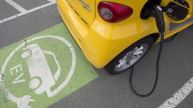 Electric vehicle mandates mean misery all round