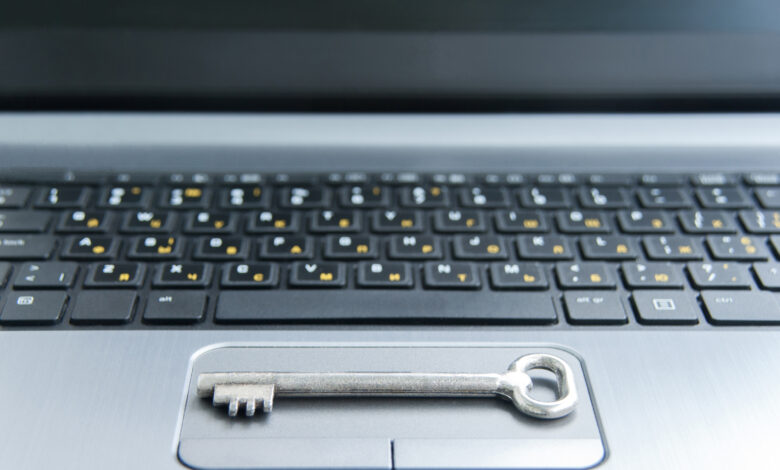 Cybersecurity Stocks at an Intriguing Entry Point Cybersecurity Stocks at an Intriguing Entry Point