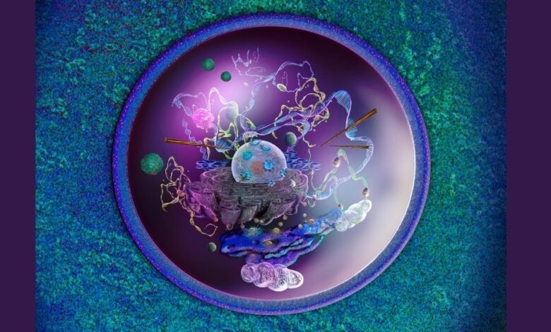 AI demystifies proteins, the building blocks of life : Short Wave : NPR AI demystifies proteins, the building blocks of life : Short Wave : NPR