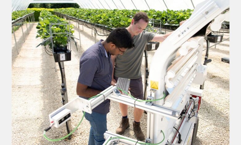 Experts help assess potential for robotics and automation to alleviate labor shortages in UK food chain Experts help assess potential for robotics and automation to alleviate labor shortages in UK food chain