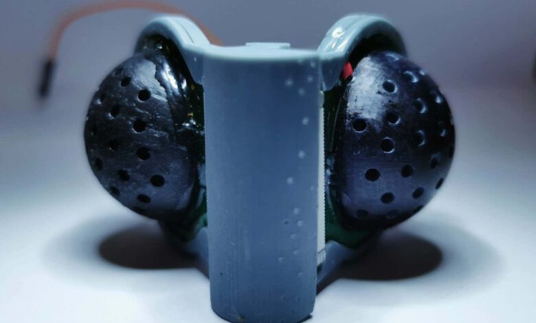 Cameras inspired by insect eyes could give robots a wider view Cameras inspired by insect eyes could give robots a wider view