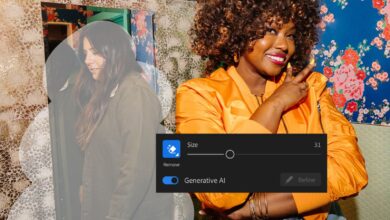 Adobe Lightroom Gains AI-Based Generative Remove Tool for Eliminating Unwanted Objects