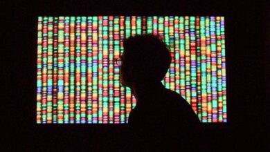 This Company Uses Artificial Intelligence To Decode Genomic Diversity